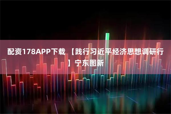 配资178APP下载 【践行习近平经济思想调研行】宁东图新