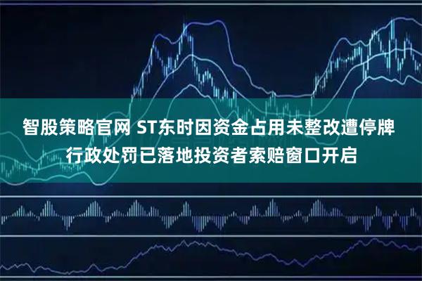 智股策略官网 ST东时因资金占用未整改遭停牌 行政处罚已落地投资者索赔窗口开启